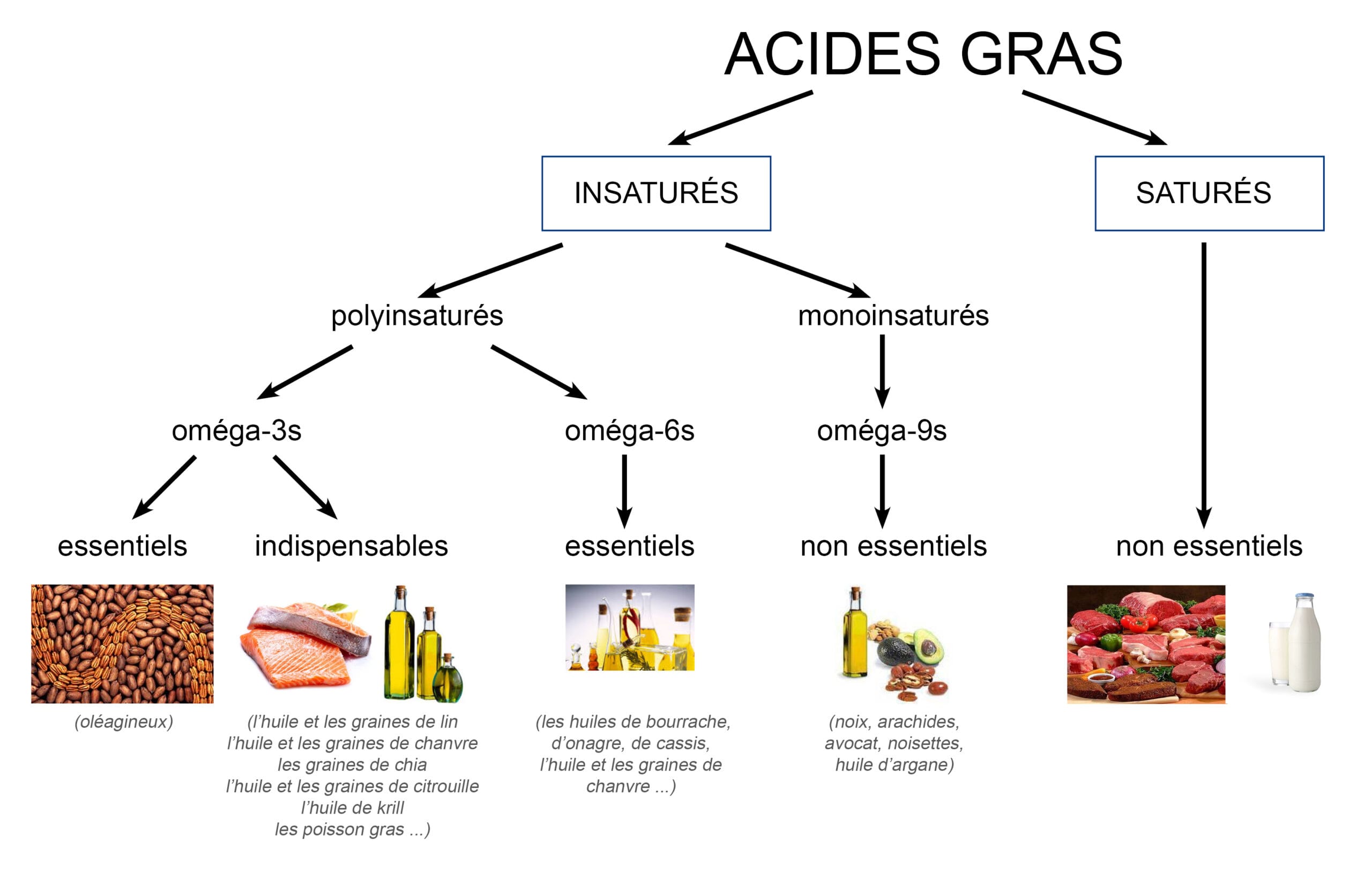 Schéma classant les acides gras saturés et insaturés, puis les oméga-3, 6 et 9, avec des exemples d’aliments